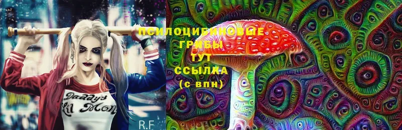 Псилоцибиновые грибы Magic Shrooms Дегтярск